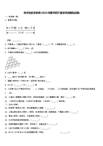 林芝地区米林县2023年数学四下期末检测模拟试题含解析