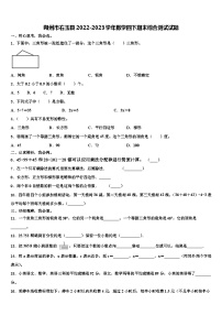 朔州市右玉县2022-2023学年数学四下期末综合测试试题含解析