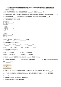 江苏省宿迁市泗洪县新星城南学校2022-2023学年数学四下期末统考试题含解析