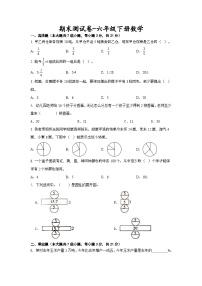 期末测试卷（试题）北京版六年级下册数学+