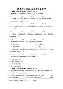 期末综合测试（试题）北京版六年级下册数学+