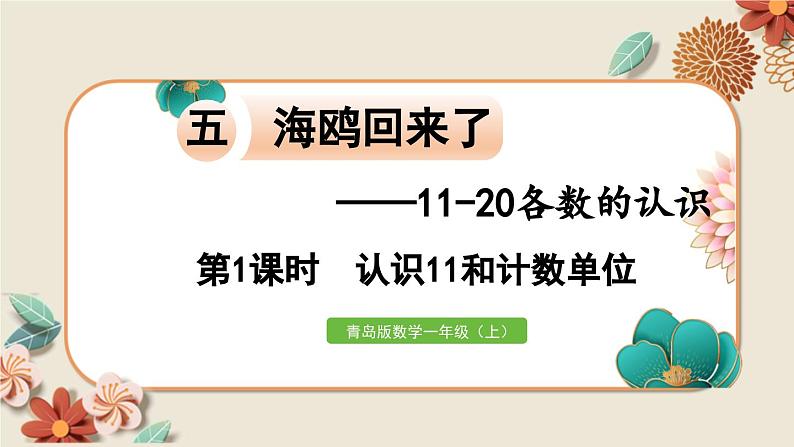 数学青岛一（上） 五  海鸥回来了 信息窗1 PPT课件01