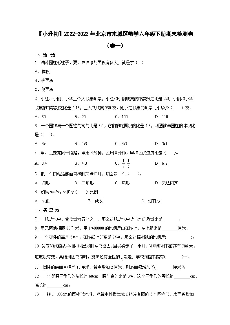 【小升初】2022-2023学年北京市东城区数学六年级下册期末检测卷（卷一）含解析01