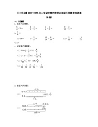 【小升初】2022-2023学年山东省济南市数学六年级下册期末检测卷（B卷）含解析