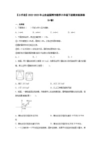 【小升初】2022-2023学年山东省淄博市数学六年级下册期末检测卷（A卷）含解析