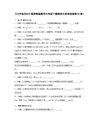 【小升初】2023届苏教版数学六年级下册期末分班考检测卷（B卷）含解析