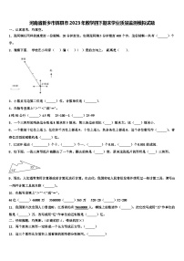 河南省新乡市辉县市2023年数学四下期末学业质量监测模拟试题含解析