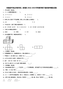 河南省平顶山市新华区、新城区2022-2023学年数学四下期末联考模拟试题含解析