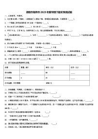 洛阳市偃师市2023年数学四下期末预测试题含解析