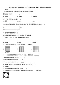 湖北省武汉市东湖高新区2023年数学四年级第二学期期末监测试题含解析