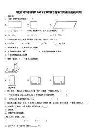 湖北省咸宁市通城县2023年数学四下期末教学质量检测模拟试题含解析