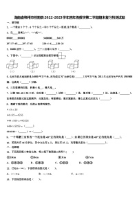 湖南省郴州市桂阳县2022-2023学年四年级数学第二学期期末复习检测试题含解析