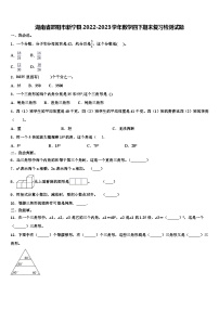 湖南省邵阳市新宁县2022-2023学年数学四下期末复习检测试题含解析