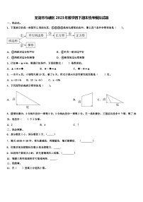 芜湖市马塘区2023年数学四下期末统考模拟试题含解析