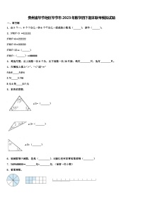 贵州省毕节地区毕节市2023年数学四下期末联考模拟试题含解析