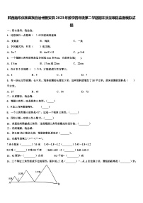 黔西南布依族苗族自治州普安县2023年数学四年级第二学期期末质量跟踪监视模拟试题含解析