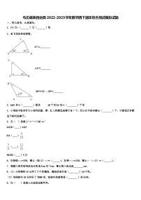 马边彝族自治县2022-2023学年数学四下期末综合测试模拟试题含解析