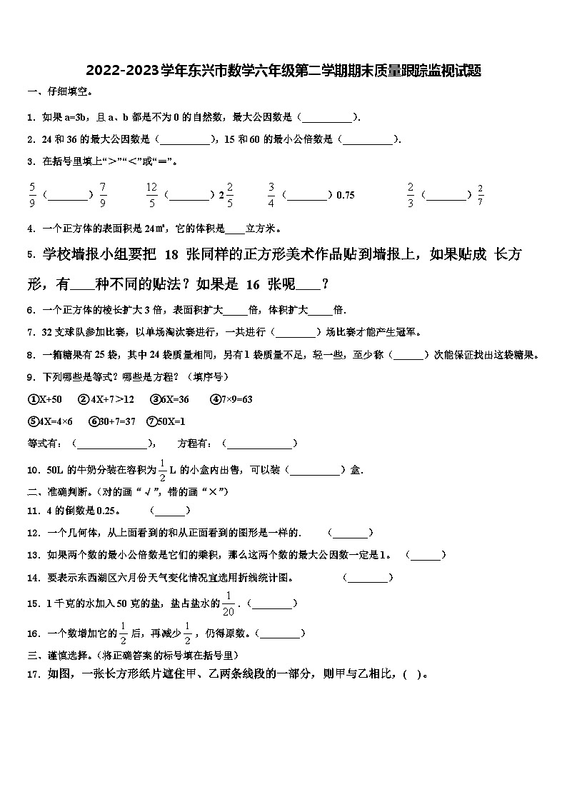 2022-2023学年东兴市数学六年级第二学期期末质量跟踪监视试题含解析01