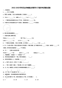 2022-2023学年乐山市峨眉山市数学六下期末考试模拟试题含解析