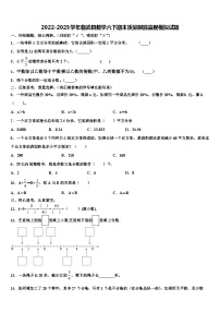 2022-2023学年临武县数学六下期末质量跟踪监视模拟试题含解析