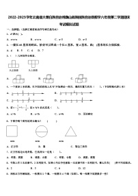 2022-2023学年云南省大理白族自治州巍山彝族回族自治县数学六年级第二学期期末考试模拟试题含解析