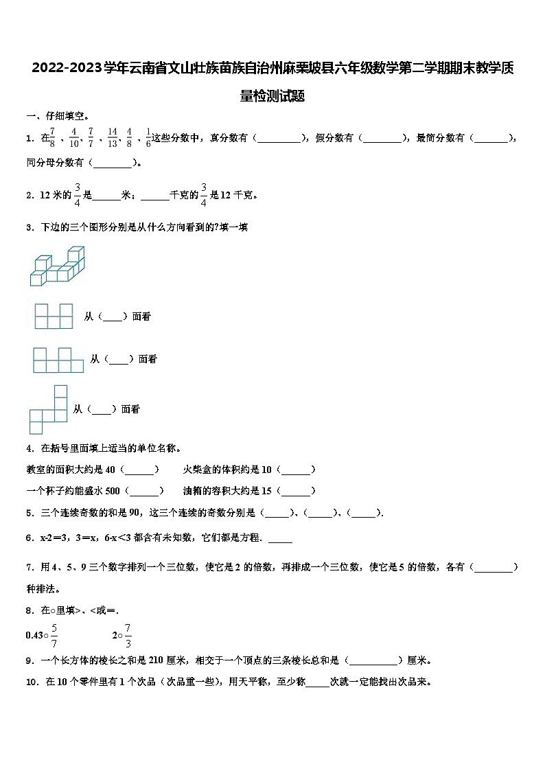 2022-2023学年云南省文山壮族苗族自治州麻栗坡县六年级数学第二学期期末教学质量检测试题含解析第1页