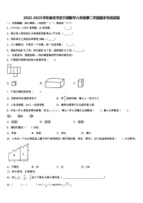 2022-2023学年保定市定兴县数学六年级第二学期期末检测试题含解析