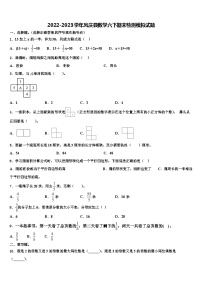 2022-2023学年凤庆县数学六下期末检测模拟试题含解析