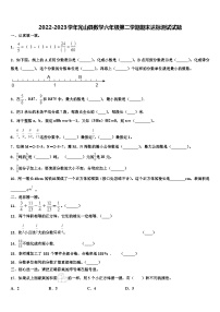 2022-2023学年光山县数学六年级第二学期期末达标测试试题含解析