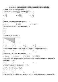 2022-2023学年加查县数学六年级第二学期期末质量检测模拟试题含解析