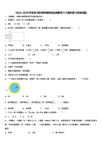 2022-2023学年务川仡佬族苗族自治县数学六下期末复习检测试题含解析