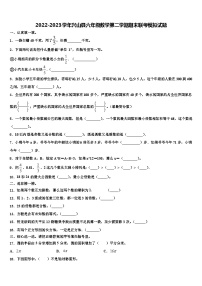 2022-2023学年兴山县六年级数学第二学期期末联考模拟试题含解析