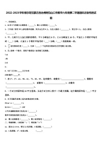 2022-2023学年博尔塔拉蒙古自治州阿拉山口市数学六年级第二学期期末达标检测试题含解析