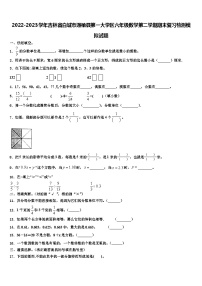 2022-2023学年吉林省白城市通榆县第一大学区六年级数学第二学期期末复习检测模拟试题含解析