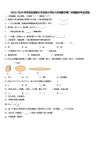 2022-2023学年吉林省舒兰市实验小学校六年级数学第二学期期末考试试题含解析