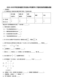 2022-2023学年吉林省舒兰市实验小学校数学六下期末质量检测模拟试题含解析