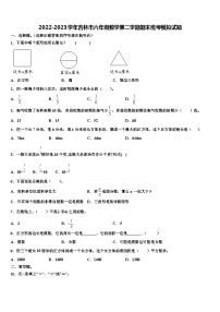 2022-2023学年吉林市六年级数学第二学期期末统考模拟试题含解析