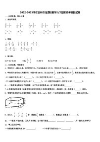 2022-2023学年吉林市龙潭区数学六下期末统考模拟试题含解析