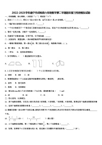 2022-2023学年南宁市武鸣县六年级数学第二学期期末复习检测模拟试题含解析