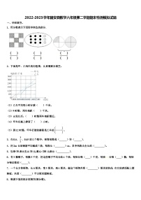 2022-2023学年固安县数学六年级第二学期期末检测模拟试题含解析