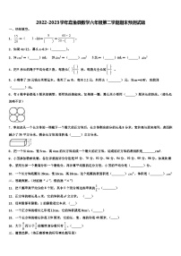 2022-2023学年嘉鱼县数学六年级第二学期期末预测试题含解析