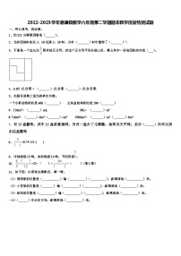 2022-2023学年囊谦县数学六年级第二学期期末教学质量检测试题含解析