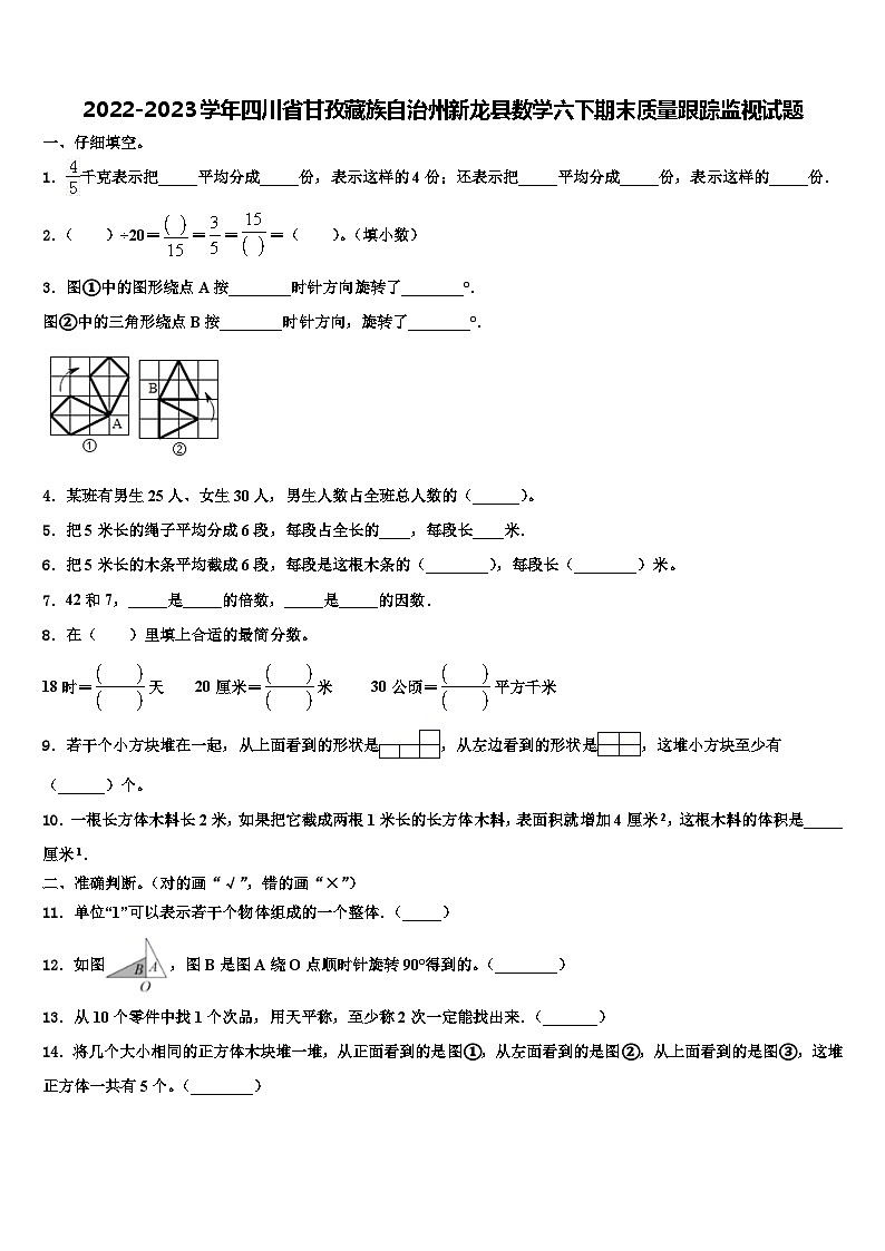2022-2023学年四川省甘孜藏族自治州新龙县数学六下期末质量跟踪监视试题含解析第1页