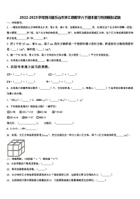 2022-2023学年四川省乐山市夹江县数学六下期末复习检测模拟试题含解析