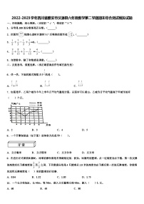 2022-2023学年四川省雅安市汉源县六年级数学第二学期期末综合测试模拟试题含解析