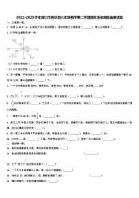 2022-2023学年周口市西华县六年级数学第二学期期末质量跟踪监视试题含解析