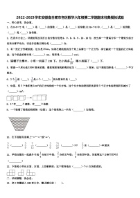 2022-2023学年安徽省合肥市各区数学六年级第二学期期末经典模拟试题含解析