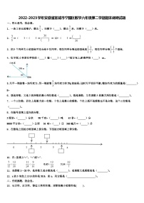 2022-2023学年安徽省宣城市宁国区数学六年级第二学期期末调研试题含解析