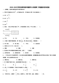 2022-2023学年安康市镇坪县数学六年级第二学期期末统考试题含解析