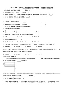 2022-2023学年大庆市肇源县数学六年级第二学期期末监测试题含解析